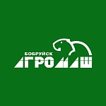 ОАО УКХ «Бобруйскагромаш»